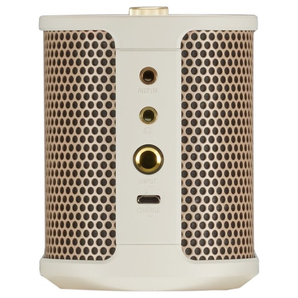 BTM-1 Speaker with Guitar Input - Side