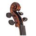 Stentor Arcadia Violin, Instrument Only, Full Size, Peg Box