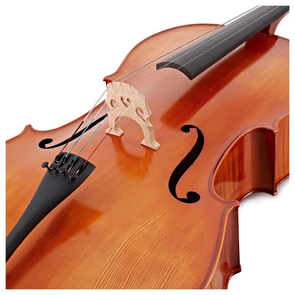 Hidersine Vivente Cello Outfit, 1/2 Size, Bridge