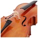 Hidersine Vivente Cello Outfit, 1/2 Size, Bridge
