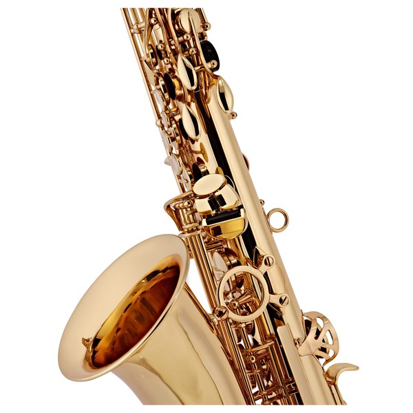 Rosedale Professional Alto Saxophone by Gear4music
