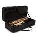 Rosedale Professional Alto Saxophone by Gear4music