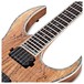 BC Rich Shredzilla Prophecy Archtop FR, Spalted Maple