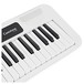 Casio CT S200 Portable Keyboard, White