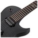 Washburn Parallaxe L10F, Flame Transparent Black