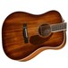 Fender PM-1E Dreadnought Electro Acoustic, Aged Cognac Burst - Body View