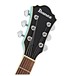 Ibanez AS63 Artcore Vibrante, Sea Foam Green