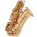 Rosedale Professional Alto Saxophone by Gear4music
