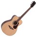 Vintage V300 Folk Acoustic Outfit, Natural - Front View