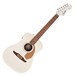 Fender Malibu Player Electro Acoustic, Arctic Gold