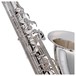 Trevor James Classic II Tenor Saxophone, Silver