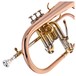 Levante by Stagg FH6205 Flugelhorn, Lacquer