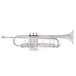 Levante by Stagg TR5201 Bb Trumpet, Silver