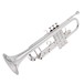 Levante by Stagg TR5201 Bb Trumpet, Silver