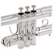 Levante by Stagg TR5201 Bb Trumpet, Silver