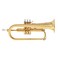 Stagg FH215S Flugelhorn
