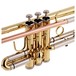 Levante by Stagg TR5205 Bb Trumpet, Lacquer