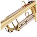 Levante by Stagg TR5205 Bb Trumpet, Lacquer