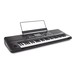 Korg Pa300 Professional Arranger Package - Side View