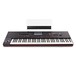 Korg Pa4X 76 Key Oriental Professional Arranger