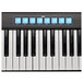 SubZero CommandKey61 MIDI Keyboard Controller