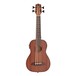 Electric Ukulele Bass by Gear4music, Sapele