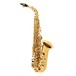 Yanagisawa AWO10 Alto Saxophone, Brass