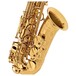 Yanagisawa AWO10 Alto Saxophone, Brass, Engraving