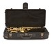 Yanagisawa AWO10 Alto Saxophone, Brass, Case