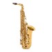 Yanagisawa AWO1 Alto Saxophone, Brass