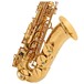 Yanagisawa AWO1 Alto Saxophone, Brass, Keys