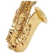 Yamaha YAS62 Professional Alto Saxophone, Gold, Mechanism