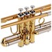 Jupiter JTR1110RQ Bb Trumpet, Lacquer