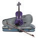 Stentor Violino elettrico 4/4 con attrezzatura, viola