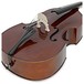 Stentor Student 2 Double Bass, 1/8, Bridge