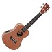 Badger Electro-Acoustic Concert Ukulele