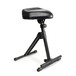 Gravity FMSEAT1 Height adjustable stool with footrest - 2