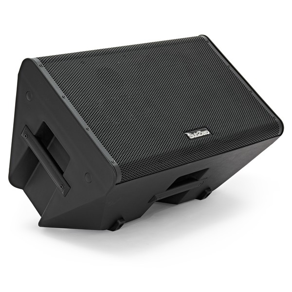 SubZero Praxis12 DSP Musicians Monitor