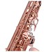 Yanagisawa AWO20PG Alto Saxophone, Pink Gold