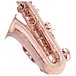 Yanagisawa AWO20PG Alto Saxophone, Pink Gold