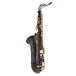 Theo Wanne Narayan Tenor Saxophone