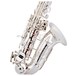 Conn-Selmer DSS180 Avant Soprano Saxophone, Curved, Silver Plate, Engraving