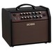 Boss Acoustic Singer Live LT Amplifier - Angled View