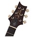 PRS DGT David Grissom, Black Gold Burst #0298856