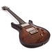 PRS DGT David Grissom, Black Gold Burst #0298856