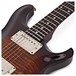 PRS DGT David Grissom, Black Gold Burst #0298856