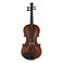 Stentor Arcadia Violin, Distressed, Full Size, Instrument Only