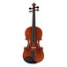 Stentor Messina Violin, 3/4, Instrument Only