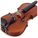 Stentor Messina Violin, 3/4, Instrument Only, Bridge