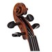 Stentor Messina Violin, 3/4, Instrument Only, Scroll